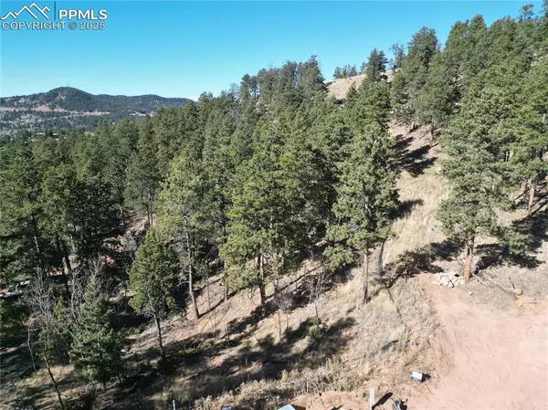 Woodland Park, CO 80863,1420 Red Haven PL