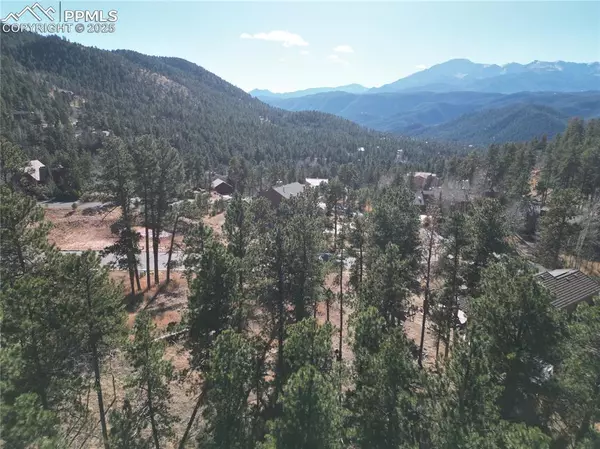Woodland Park, CO 80863,1300 Blue Haven PL