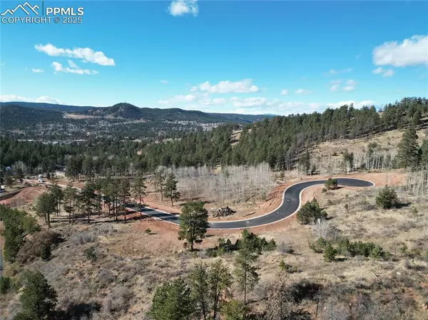 Woodland Park, CO 80863,1300 Blue Haven PL