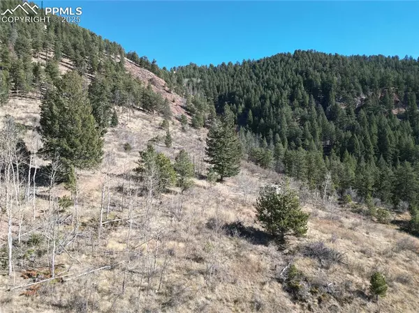 Woodland Park, CO 80863,1375 Blue Haven PL