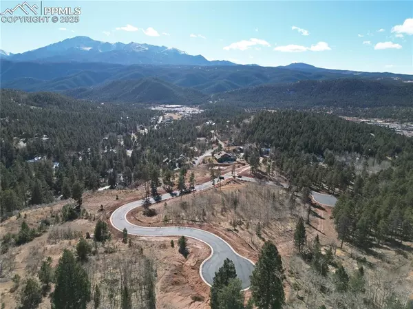 Woodland Park, CO 80863,1385 Blue Haven PL