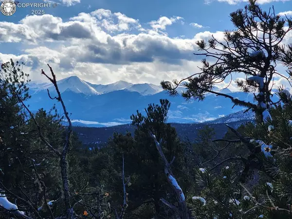 Texas Creek, CO 81223,1314 Arnold DR