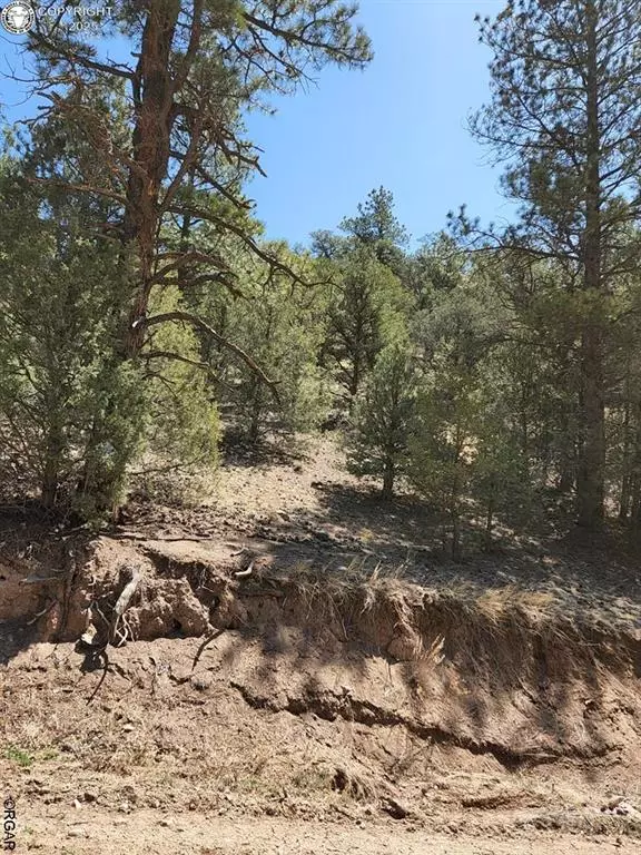 Texas Creek, CO 81223,1314 Arnold DR