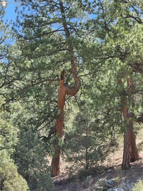 Texas Creek, CO 81223,1314 Arnold DR