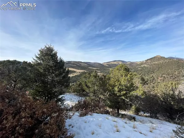 Cotopaxi, CO 81223,752 County Road 16