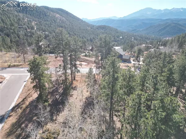 Woodland Park, CO 80863,1310 Blue Haven PL