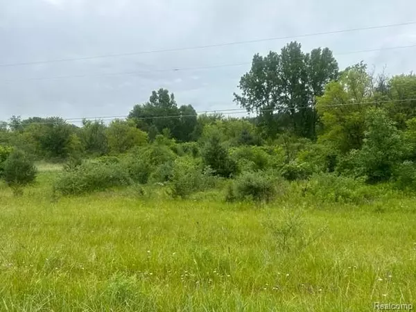 Davison, MI 48423,10.63(+/-) Acres Lapeer RD