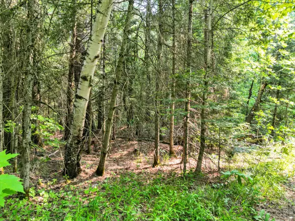 Bracebridge, ON P1L 1X1,LOT 2 Old Victoria RD