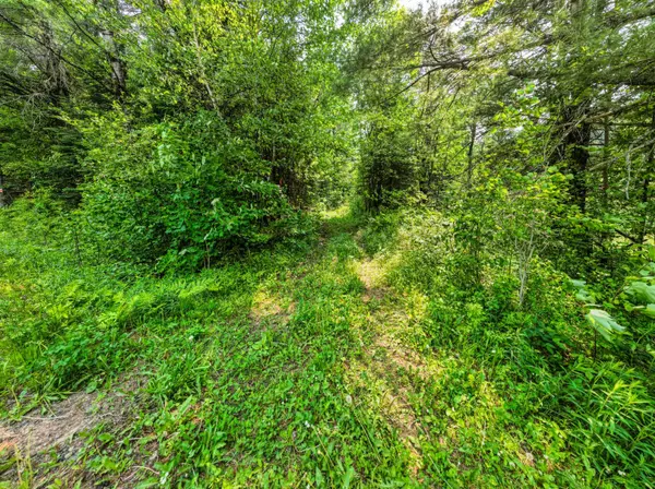 LOT 2 Old Victoria RD, Bracebridge, ON P1L 1X1