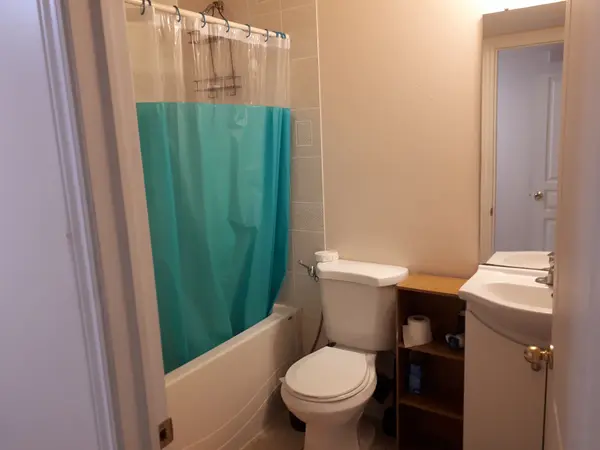 Vaughan, ON L4J 0G3,150 Balsamwood RD #Basement