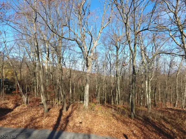 78 Lakeside Dr NW, Vernon Twp., NJ 07461