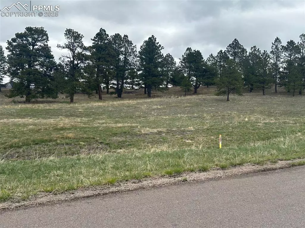 Colorado Springs, CO 80908,11072 Mosey TRL