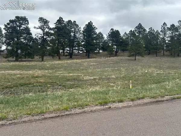 11072 Mosey TRL, Colorado Springs, CO 80908