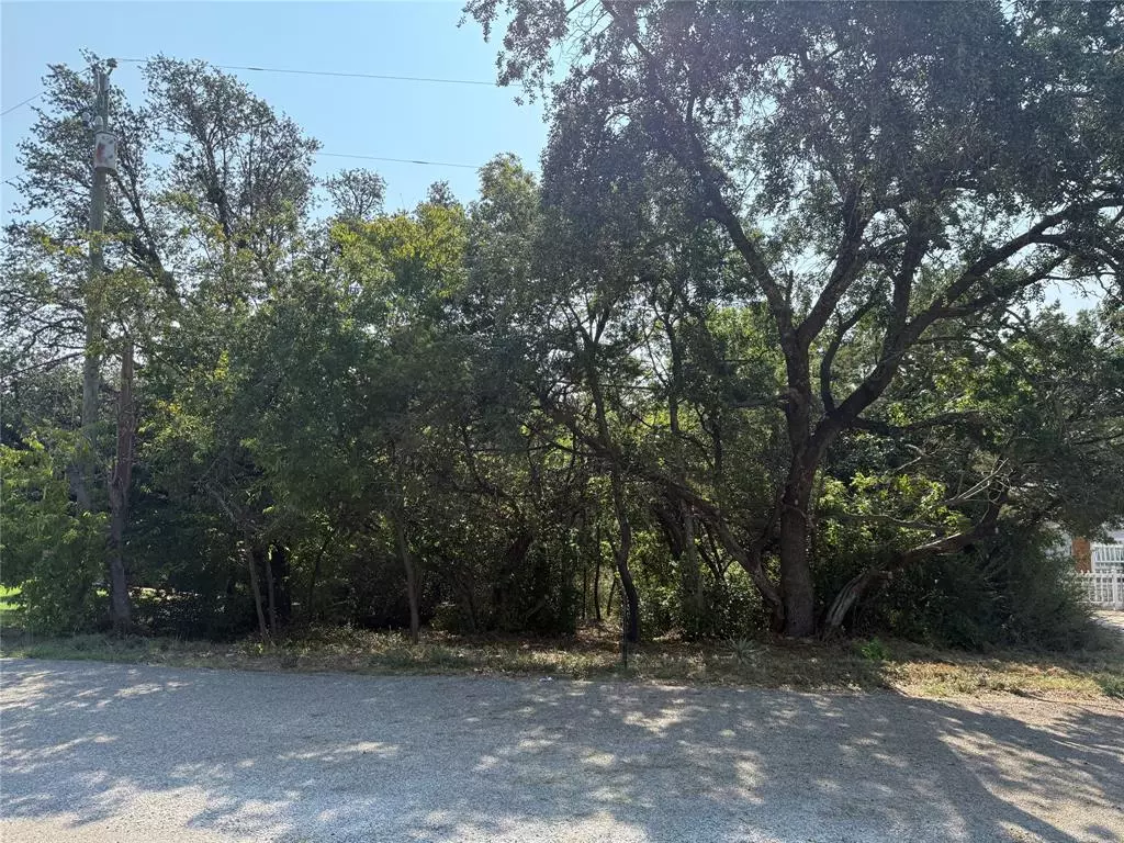Granbury, TX 76049,1011 Hidden Cove Trail