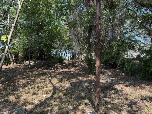 Granbury, TX 76049,1011 Hidden Cove Trail