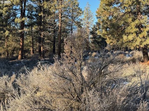 Sprague River, OR 97639,Klamath Forest DR