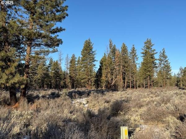 Sprague River, OR 97639,Klamath Forest DR