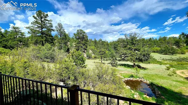 Florissant, CO 80816,324 Pike View LN