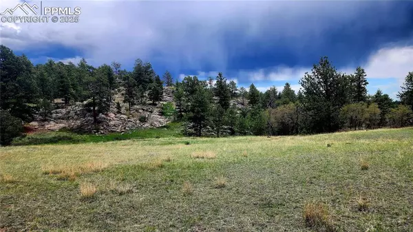 Florissant, CO 80816,324 Pike View LN