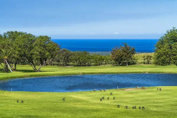 68-1754 MELIA ST #A310, Waikoloa, HI 96738