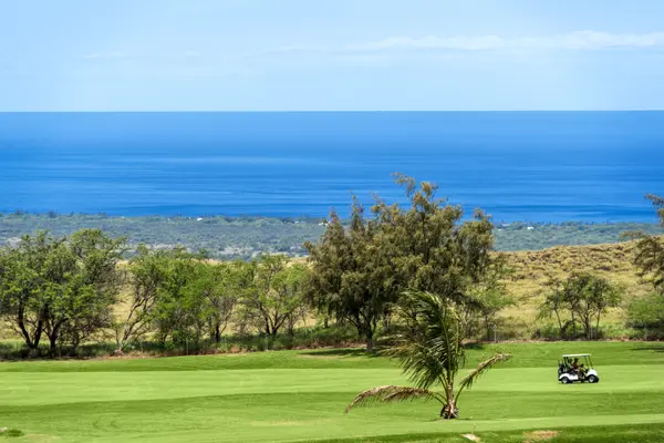 68-1754 MELIA ST #A310, Waikoloa, HI 96738