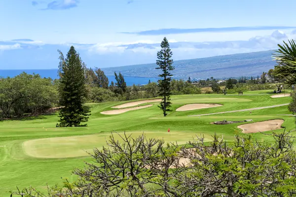 68-1754 MELIA ST #A310, Waikoloa, HI 96738