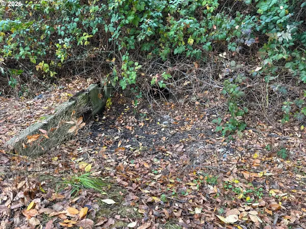 219 COLUMBIA ST, Jefferson, OR 97352