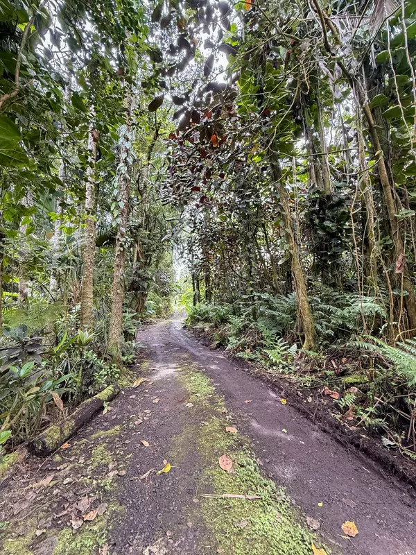 Pahoa, HI 96778,JAPANESE CAMP RD