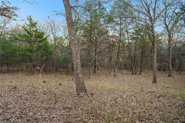 Point, TX 75472,290 Rs County Road 4254