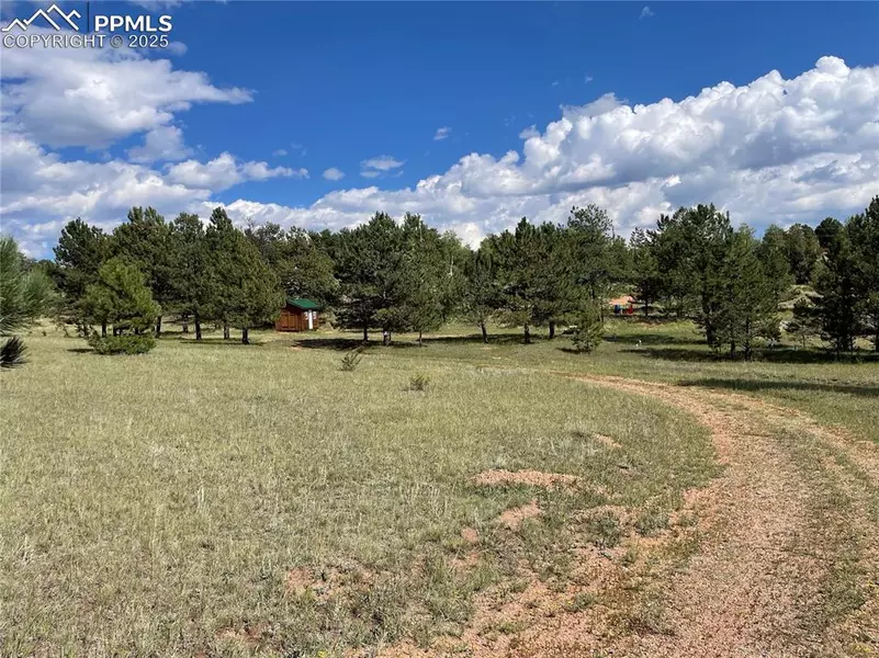 330 Arrowhead DR, Florissant, CO 80816