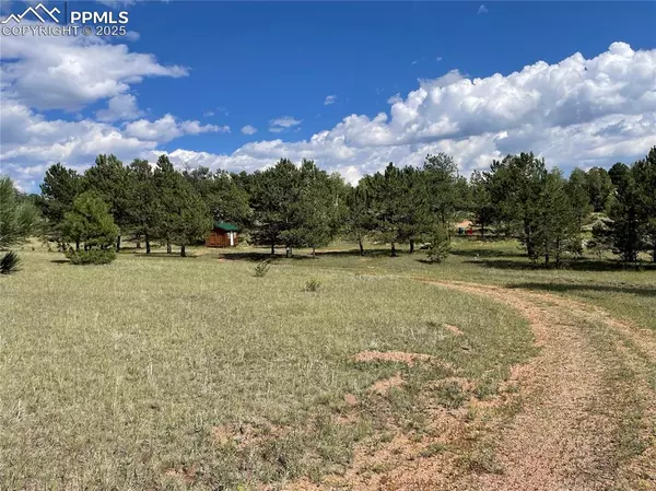 330 Arrowhead DR, Florissant, CO 80816