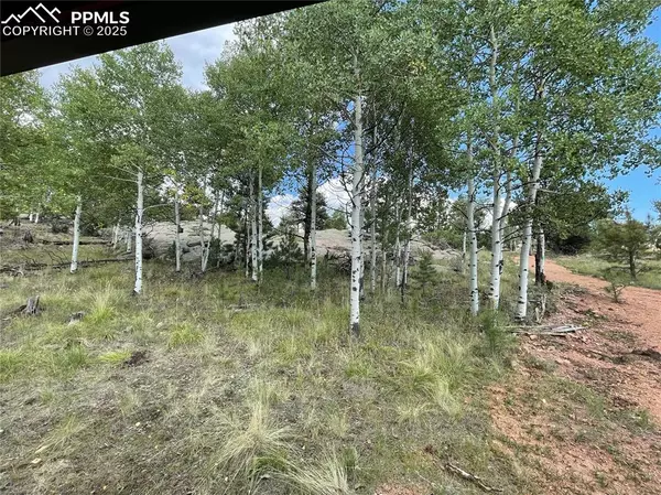 Florissant, CO 80816,330 Arrowhead DR