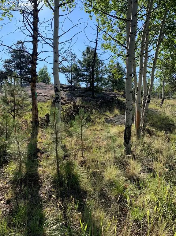 Florissant, CO 80816,330 Arrowhead DR