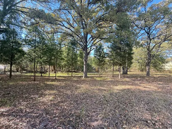 Lot 11 Harris Boulevard, Malakoff, TX 75148