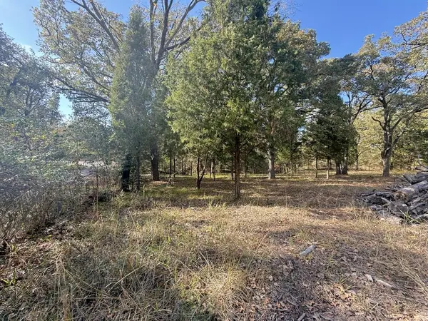 Malakoff, TX 75148,Lot 11 Harris Boulevard