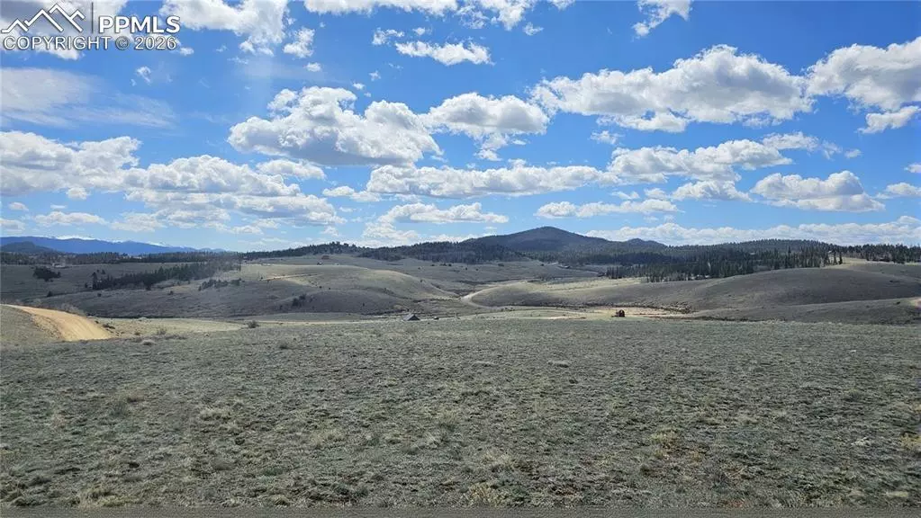 Jefferson, CO 80456,329 Albino RD