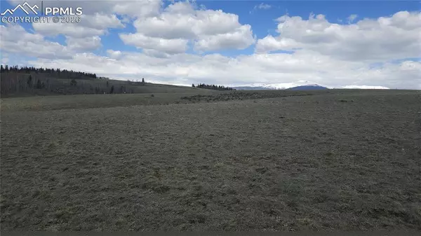 Jefferson, CO 80456,329 Albino RD