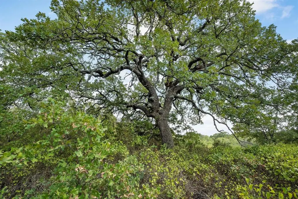 Perrin, TX 76486,Lot 16 Double B Ranch Road S