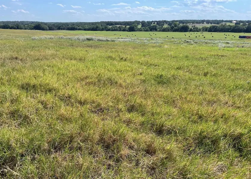 3688 N Fm 1655, Alvord, TX 76225