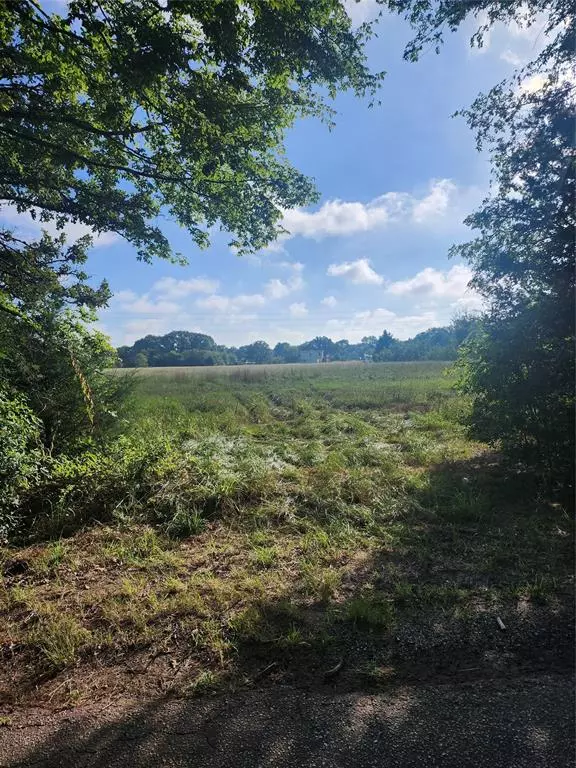 Grand Saline, TX 75140,TBD VZ County Road 1215