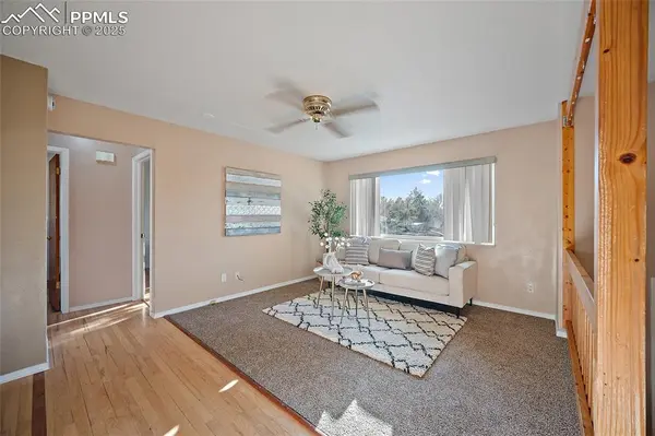 Colorado Springs, CO 80918,4517 Buena Park CIR