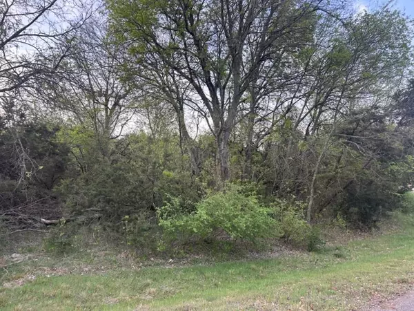 Kopperl, TX 76652,0000 Private Road 1212