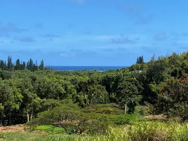 KANAELE RD, Kapaa, HI 96746