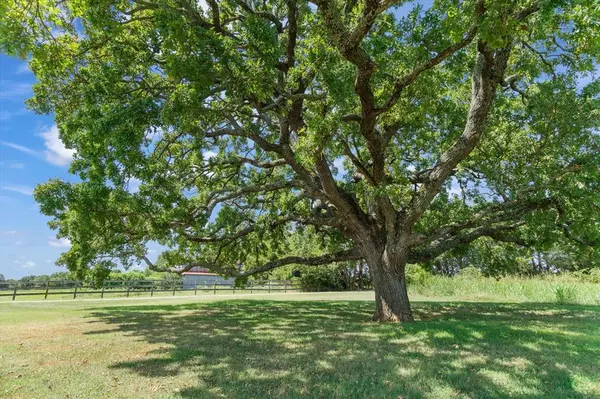 Wills Point, TX 75169,600 Vz County Road 3528