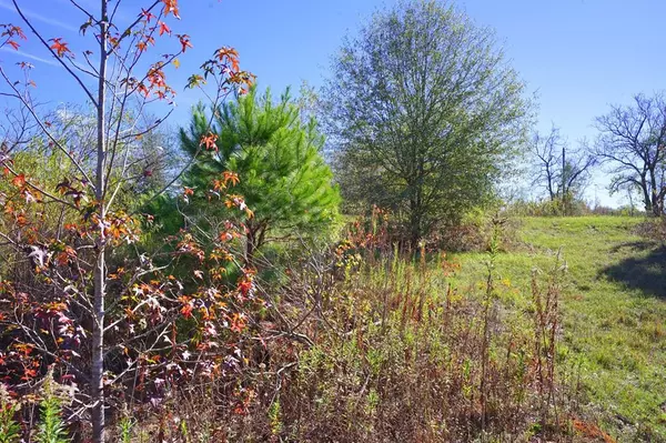 Kilgore, TX 75662,6488 State Highway 135 N