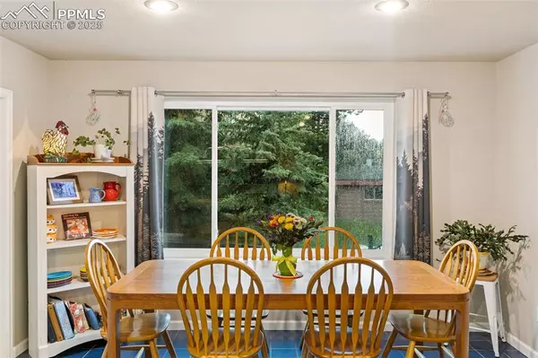 Woodland Park, CO 80863,2020 Valley View DR