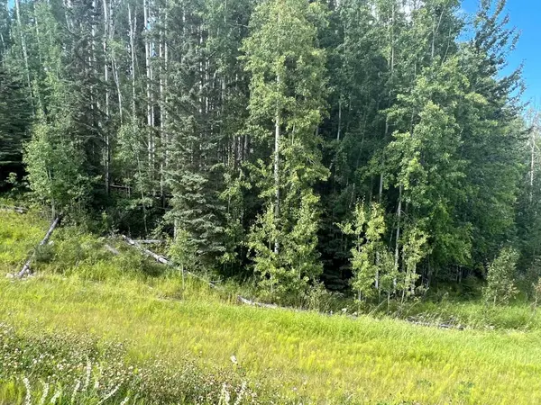 Rural Yellowhead County, AB T7E 3A6,#43 River Ridge Estates