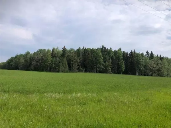 Range Rd 40, Rural Mountain View County, AB T0M1X0