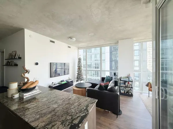 Toronto C01, ON M5V 2G3,88 Blue Jays WAY #3502