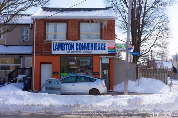 113 Lambton AVE, Toronto W03, ON M6N 2S7